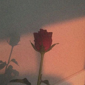 Meet your Posher, Sof